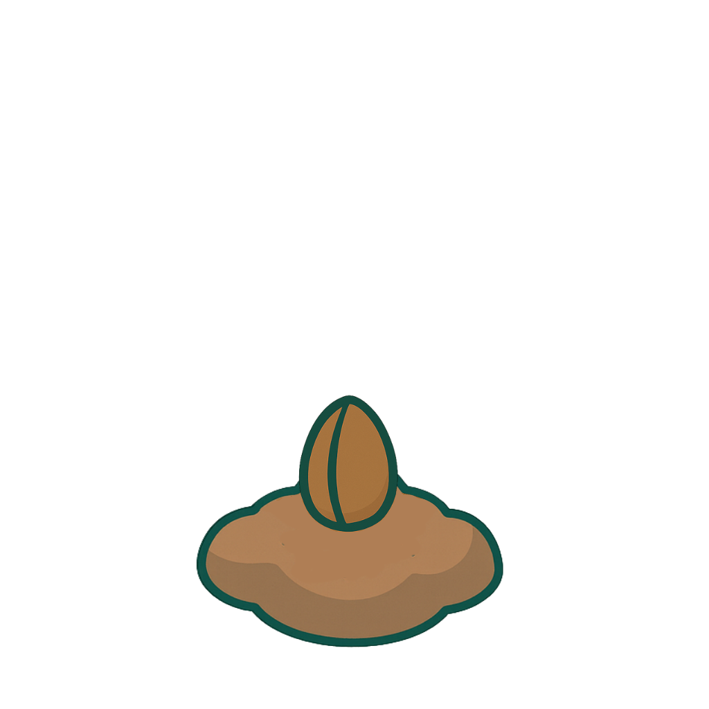 Seed to flower animation